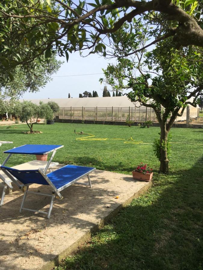 Villa Daniele Borgo Montenero المظهر الخارجي الصورة